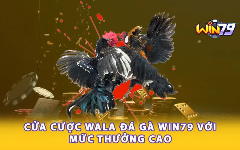 cua-cuoc-wala-da-ga-win79-voi-muc-thuong-cao