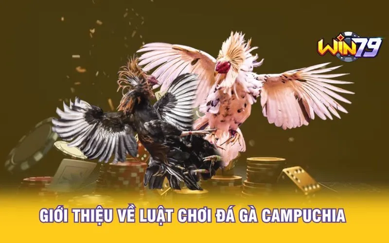 gioi-thieu-ve-luat-choi-da-ga-campuchia