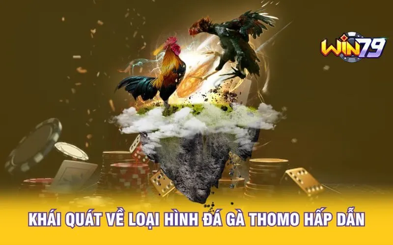 khai-quat-ve-loai-hinh-da-ga-thomo-hap-dan